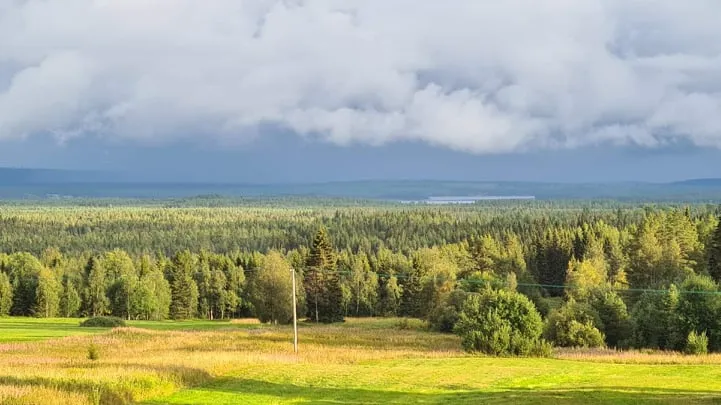 Skogslandskap med ängar och barrskog under en molnig himmel