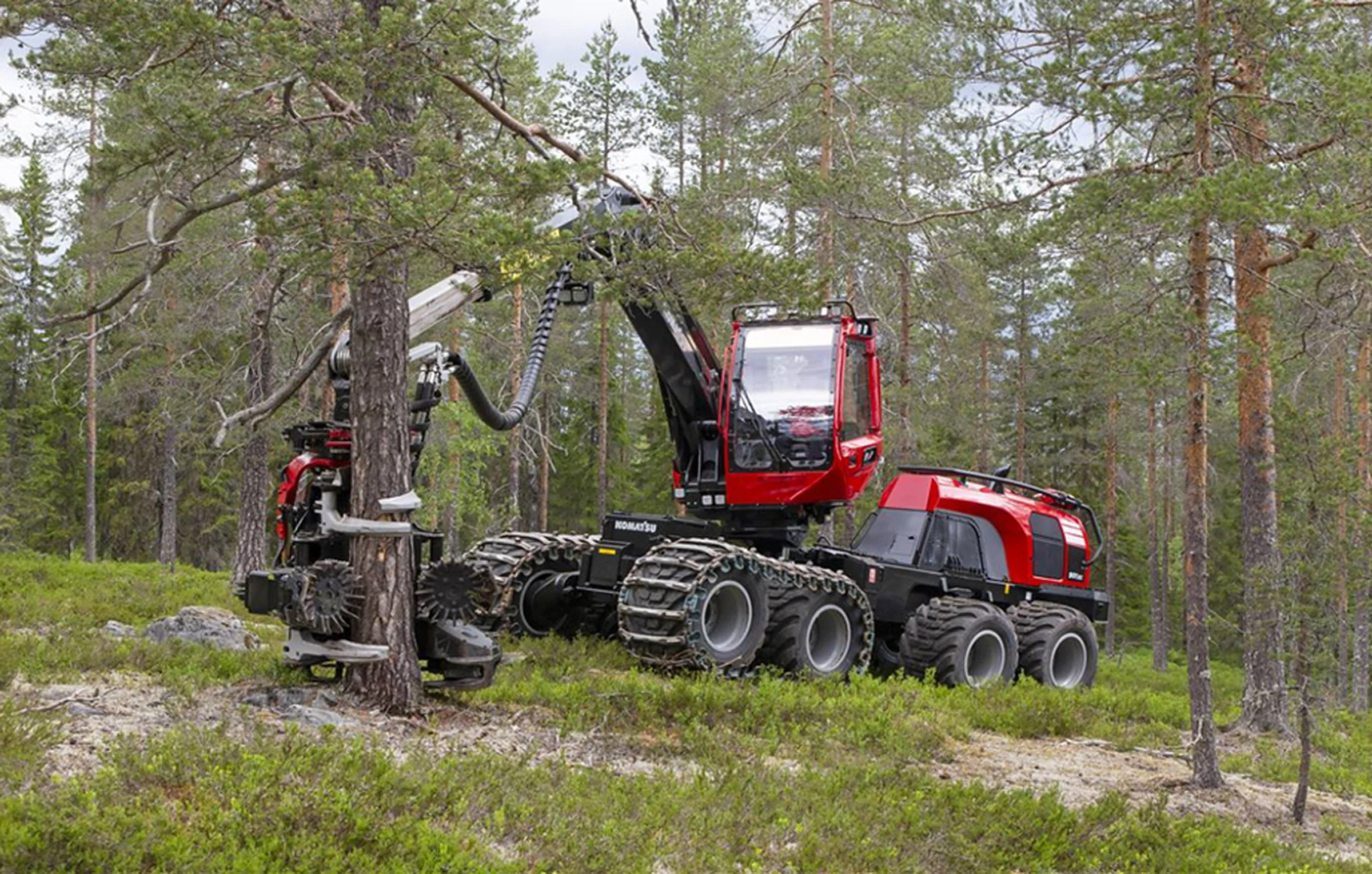 Skördare i arbete på ett hygge