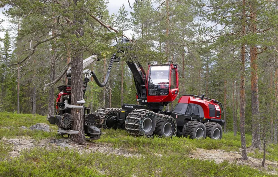 Skördare i arbete på ett hygge